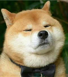 胡了个巴