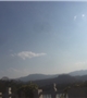 欣