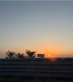 小马丁