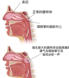 子洋