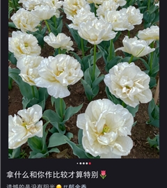 一定会好起来的