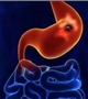 阳光