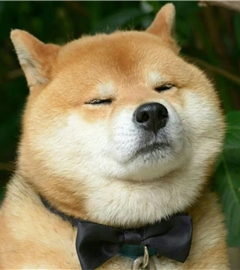 胡巴