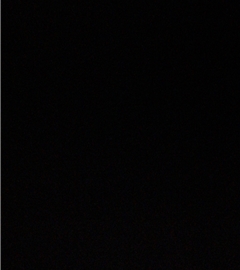 随缘