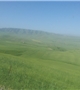 语茶淡淡