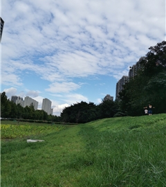 老李