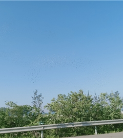奇迹