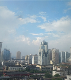 阳光