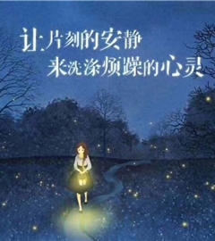 坚强的小贝壳