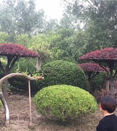 缘份