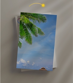 太阳