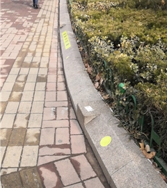 加油！！